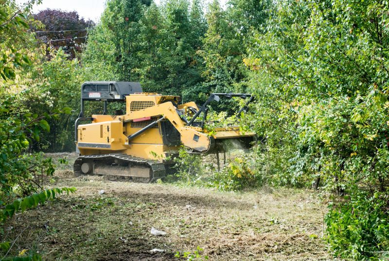 Brush Clearing Service in Atlanta, GA